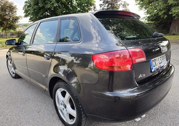 Audi A3 cena 14900 przebieg: 239780, rok produkcji 2005 z Wyszków małe 92